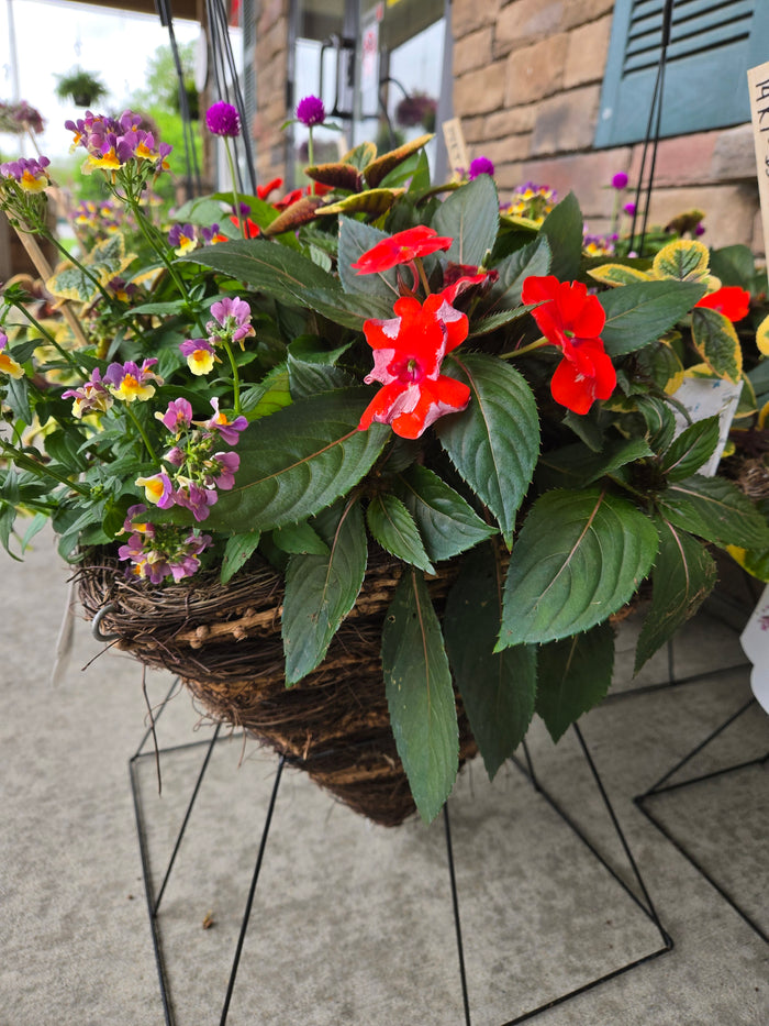14-Inch Knotty Twig Planter