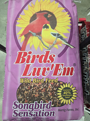 40LB Song Bird Sensation