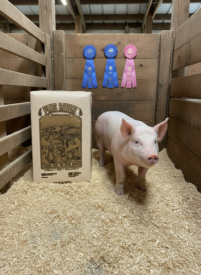 Tall Pines Shaving 45Skid