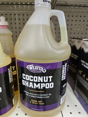 Gallon.coconut Shampoo