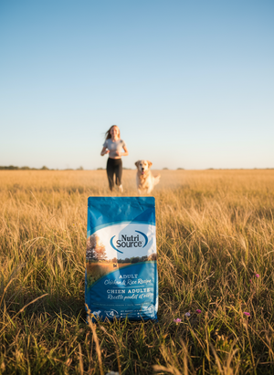 NutriSource Chicken and Rice 4#