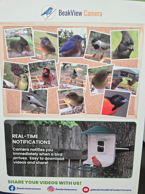 Bird Feeder Camera with HD Video and Night Vision