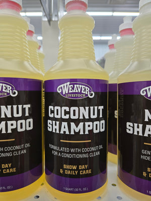 Qt Coconut Shampoo