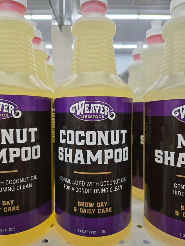 Qt Coconut Shampoo