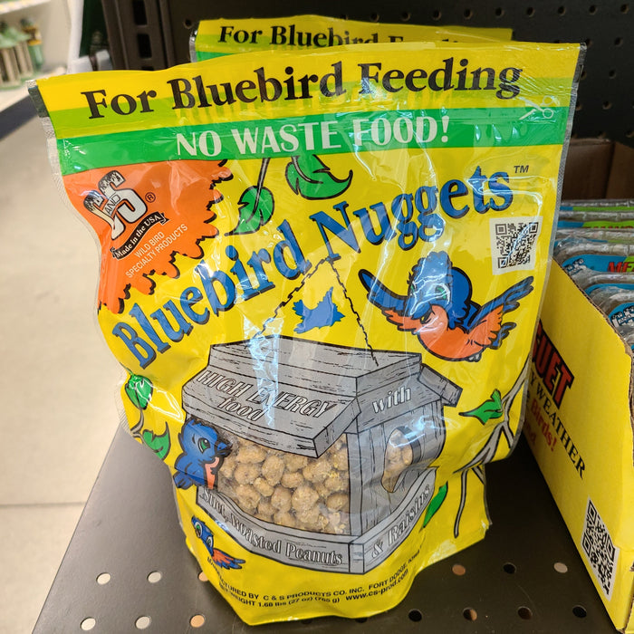 C&S Bluebird Suet Nuggets