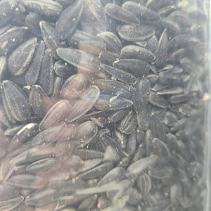 10# Oil Sunfower Seed