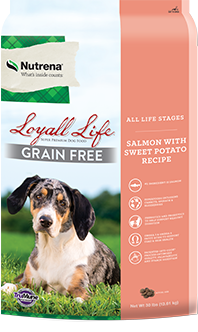 Loyall Life Grain-Free Salmon with Sweet Potato Recipe Dog Food, 30 LB bag