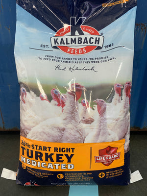 Kalmbach turkey start right